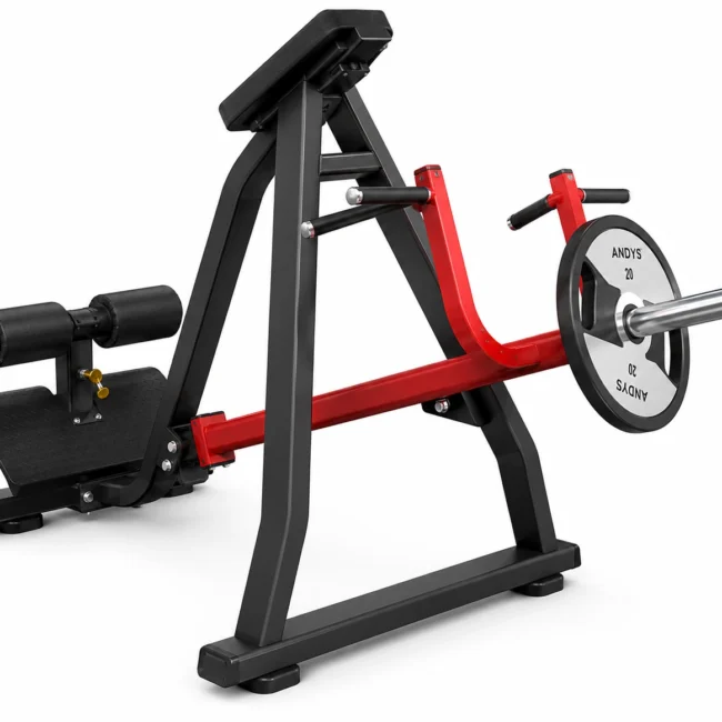 Incline Level Row