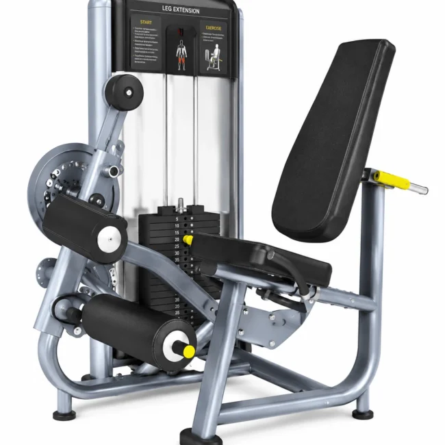 Seated Leg Curl Extension